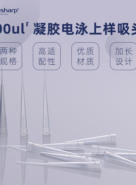 1-200ul电泳上样吸头 吸嘴移液枪枪头 凝胶电泳点样吸头