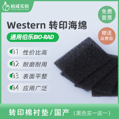 适配伯乐WB湿转转印海绵垫转印棉转膜槽海绵衬垫Foam Pad 1703933