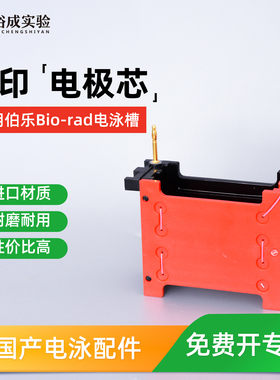 裕成实验适配伯乐转印电泳槽转印电极芯 转膜芯转印黑红芯1703935