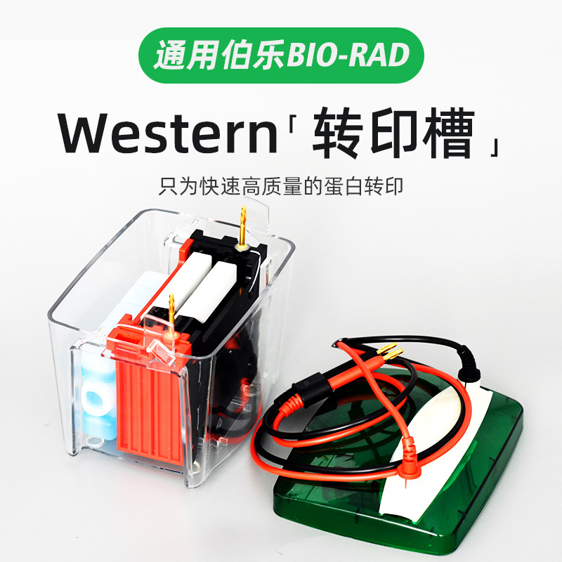 通用bio-rad伯乐小型垂直转印电泳仪转印槽Westernblot转膜电泳槽,工业油品/胶粘/化学/实验室用品,其他实验室设备,淘宝优惠券,粉丝福利购,淘宝优惠卷