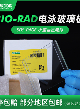 裕成实验电泳玻璃短板WB电泳厚玻璃板长板适配伯乐Bio-rad电泳槽