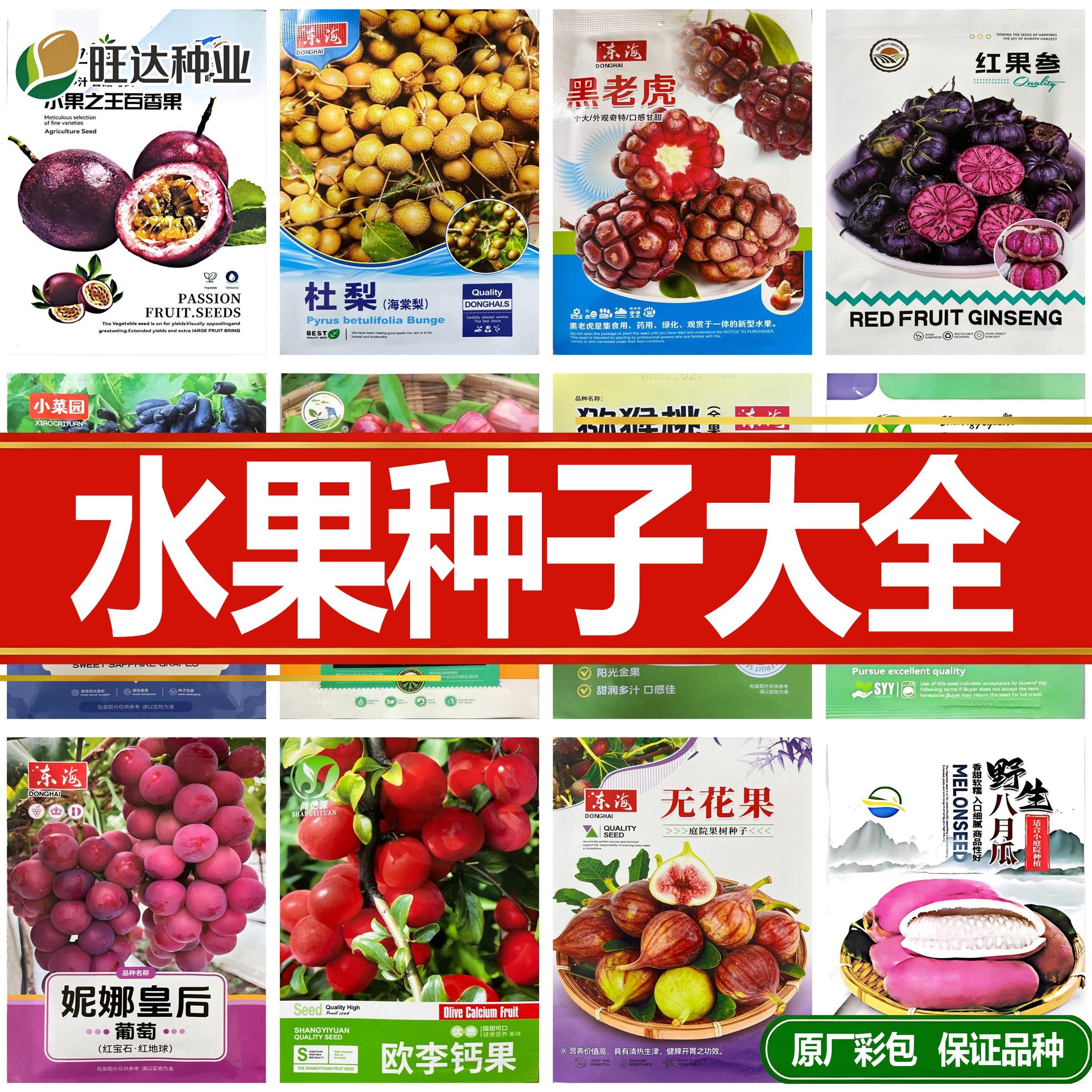 水果新籽百香果种子盆栽正宗八月家庭园艺种子