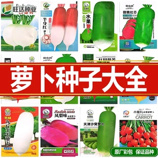 各种萝卜种子大全四季种植蔬菜种子白萝卜胡萝卜凤梨萝卜秋冬种籽