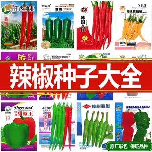 牛角椒辣椒种朝天椒螺丝椒薄皮青椒线椒小米辣种籽二荆条蔬菜种子