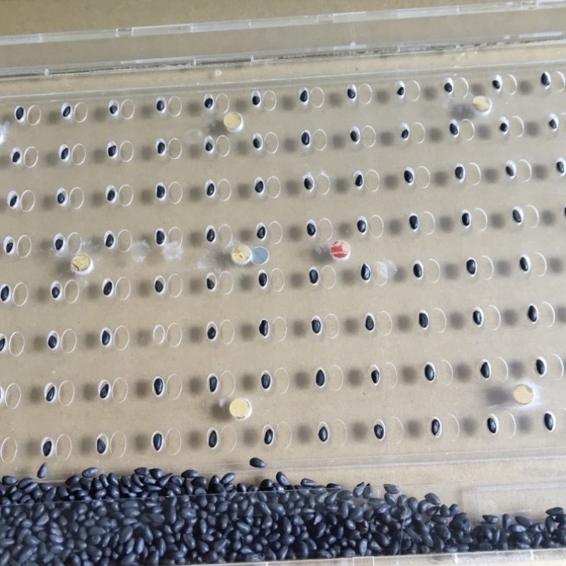 辣椒播种机工具穴盘蔬菜器器新款器播种手动育苗,农机/农具/农膜,移栽器/移苗器/地膜打孔器,淘宝优惠券,粉丝福利购,淘宝优惠卷