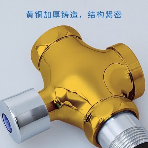 1大便便器按式阀分水阀冲阀延时卫生间寸6器冲水蹲铜手冲洗阀延迟