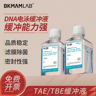 比克曼TAE缓冲液TBE缓冲液核酸琼脂糖凝胶电泳缓冲液即用型
