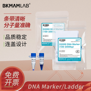 比克曼生物DNA Marker/Ladder化学试剂三色预染蛋白凝胶电泳实验