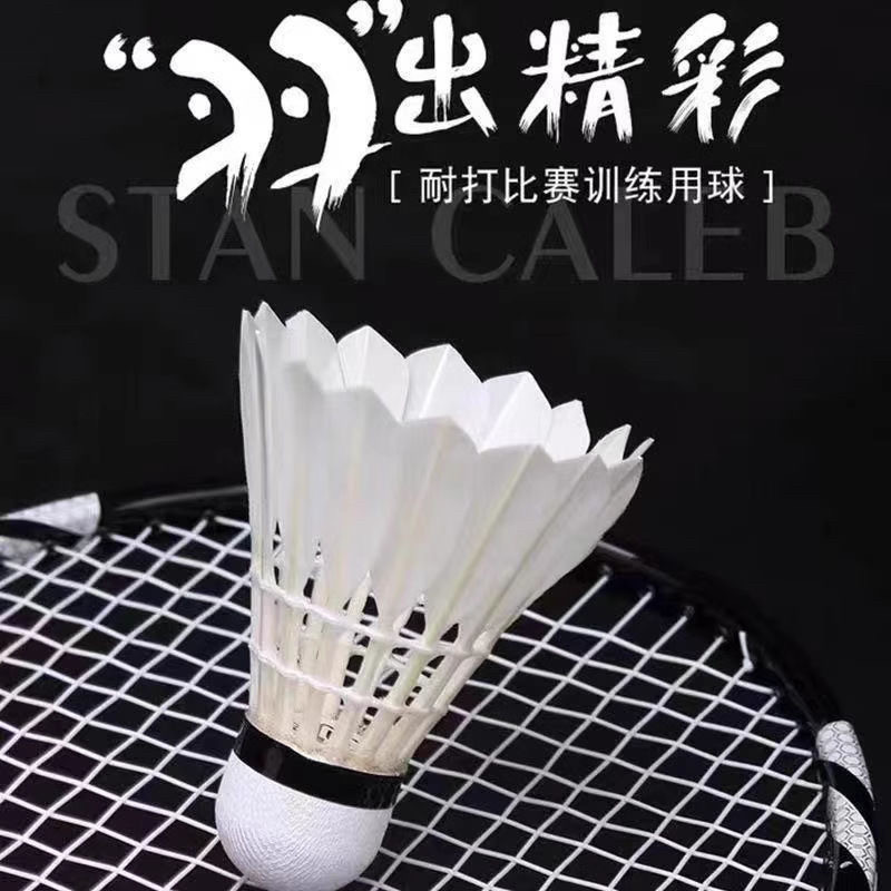 搭配购买羽毛球真鸭毛耐打稳定训练3只装娱乐室内室外羽毛球
