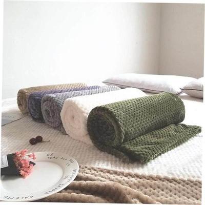 Solid Color Mesh Blanket Coral Fleece Knee Blanket菠萝格毛毯