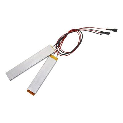 2 Pcs 220V/110V/12V Insulated PTC Ceramic Air Heater Egg Inc