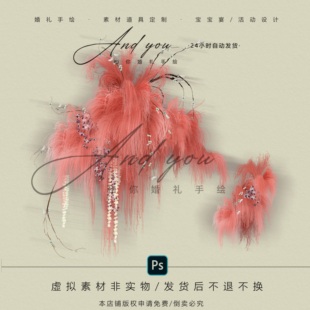 B024 小众粉色龙须草毛绒婚礼手绘花艺素材psd源文件