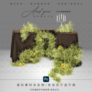 A179 小众咖色布幔合影区黄色满天星婚礼素材psd向日葵婚礼花艺