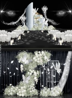 A239 韩式白绿色满天星婚礼效果图psd源文件水晶线帘蝴蝶婚礼迎宾