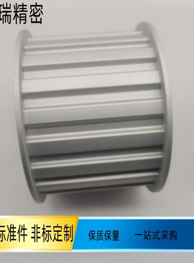 T5150-A同步带轮两面平沉孔同步轮TTPA16T5150-A-V 16 18 22 60齿