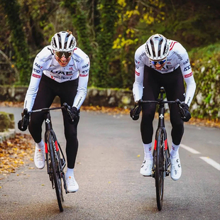 阿联酋UAE环法自行车骑行服男女夏公路车透气速干衣单车服短套装