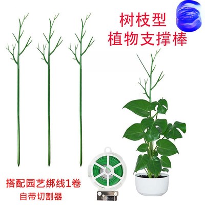 文竹支撑架植物固定防倒伏龟背竹支撑杆绿萝爬藤花架支架园艺造型