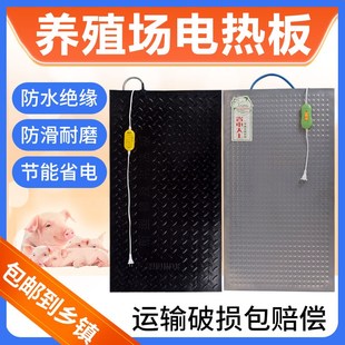 仔猪电热板不锈钢加热板养殖场母猪产床保温箱用保温板小猪电热板