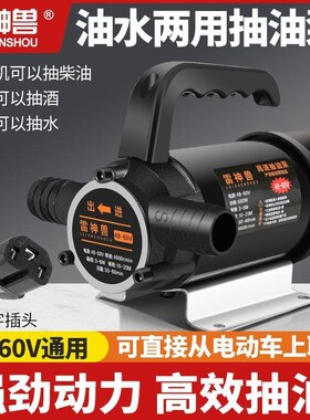 油水两用电动柴油泵直l流抽水泵12V24V48V220V小型抽油机抽水神器