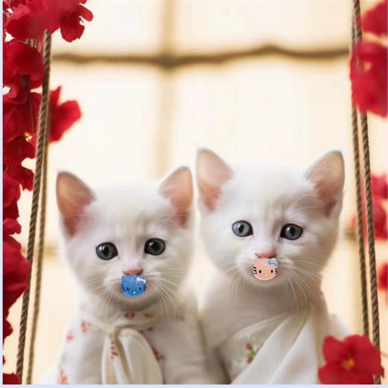 【不是婴儿款】猫咪安抚奶嘴宠物猫用安抚奶嘴神器新生幼猫玩具图片
