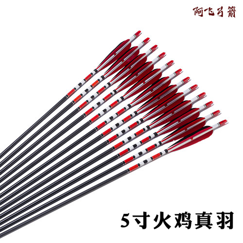 混碳箭 碳箭 传统弓箭 射击 运动 反曲弓箭 古代 真羽箭支