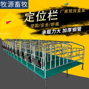 母猪限位栏落地式母猪定位栏带漏粪板镀锌猪场用S畜牧养殖设备产