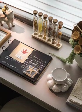 现代样板间书房飘窗摆件咖啡杯干花植F物标本售楼处儿童房软装饰