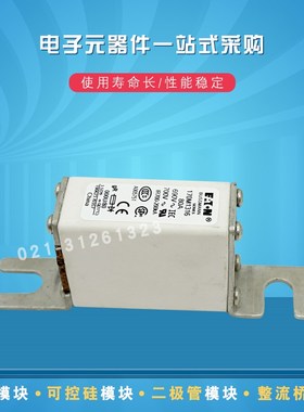 快速熔断器保险丝170M1316 1317 1318 1319 1320 1321 1322 1358