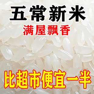 【特价优惠】正宗五常大米10斤农家新米5斤米长粒香现磨产地直发