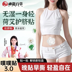 迎接夏季 配方升级荷叶艾草噗噗贴陈艾艾绒草本家用肚脐