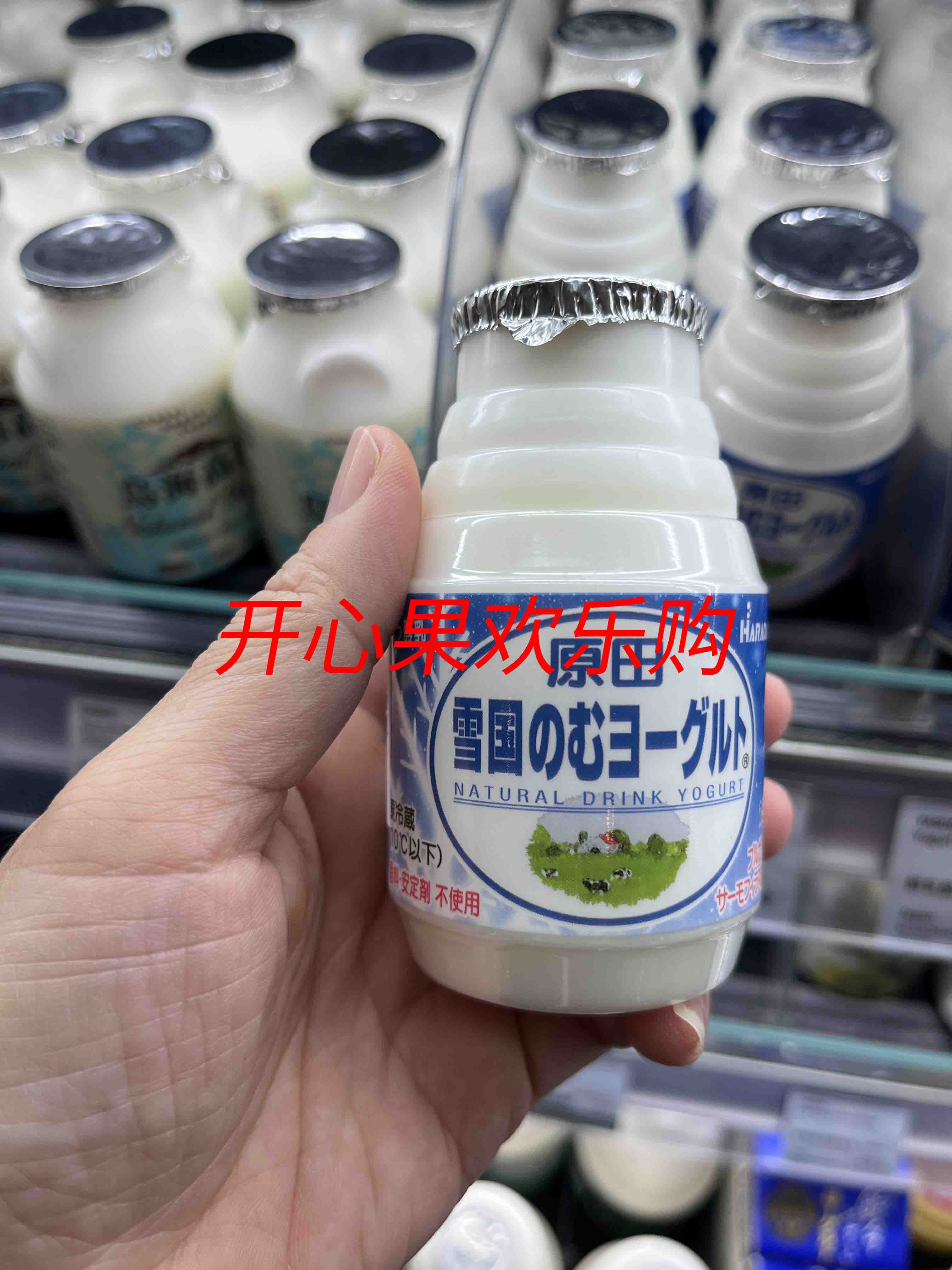 HARADA原田雪国乳酪饮品3瓶装日本原装进口
