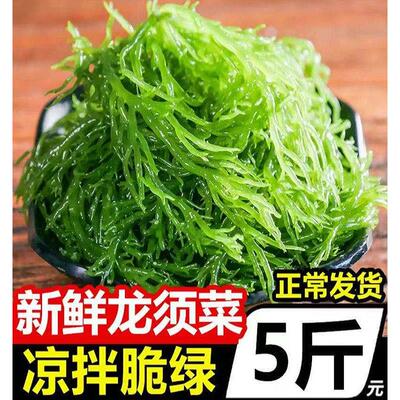 龙须菜新鲜海菜海藻火锅凉拌菜石花菜食材海草发菜食品包装