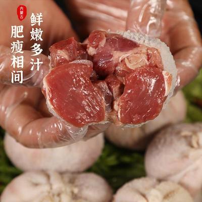 肚包肉内蒙古特产羊肉肠肠包肉生鲜网红羊肚包新鲜羊肉锡盟土包肉