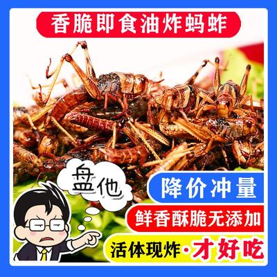 香脆油炸蚂蚱即食蝗虫低价小吃零食便宜下酒菜烧烤麻辣昆虫熟食品