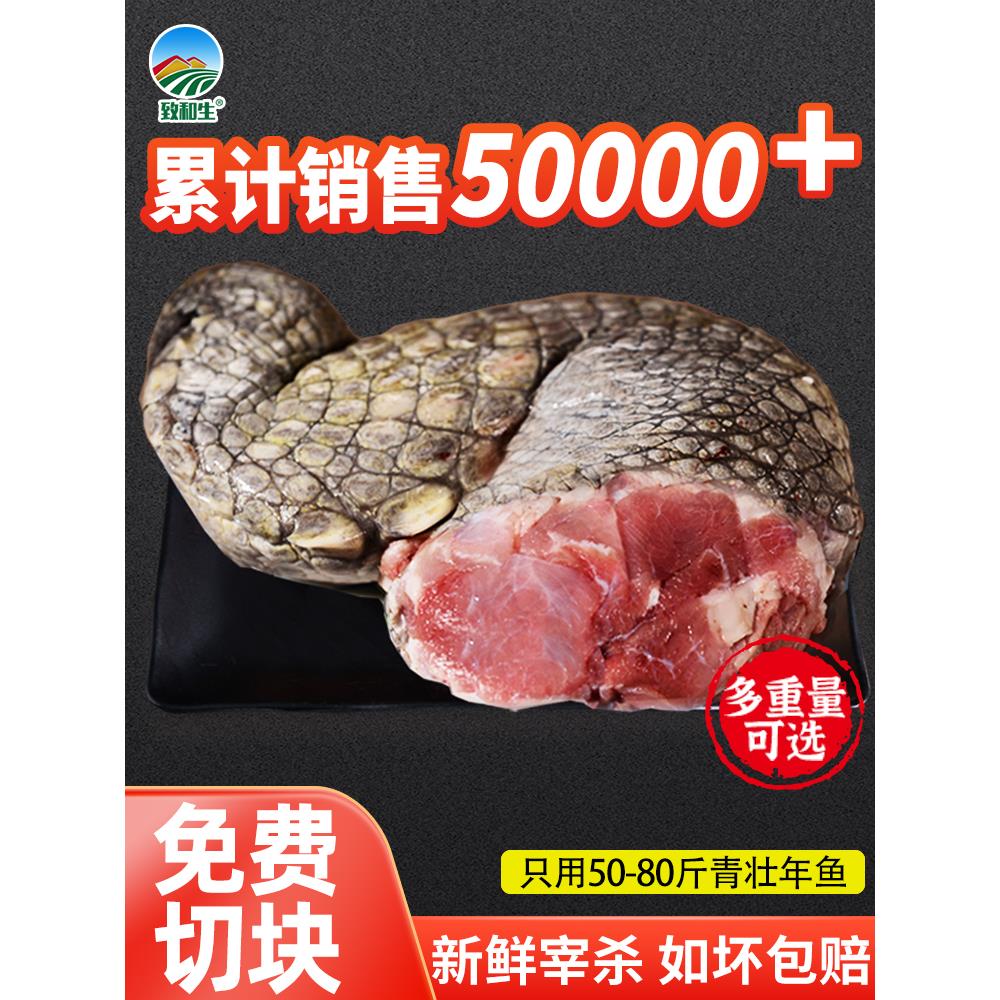 鳄鱼腿肉2斤活杀生鲜鳄鱼肉新鲜鳄鱼活鱼鳄鱼整掌肉免费切块