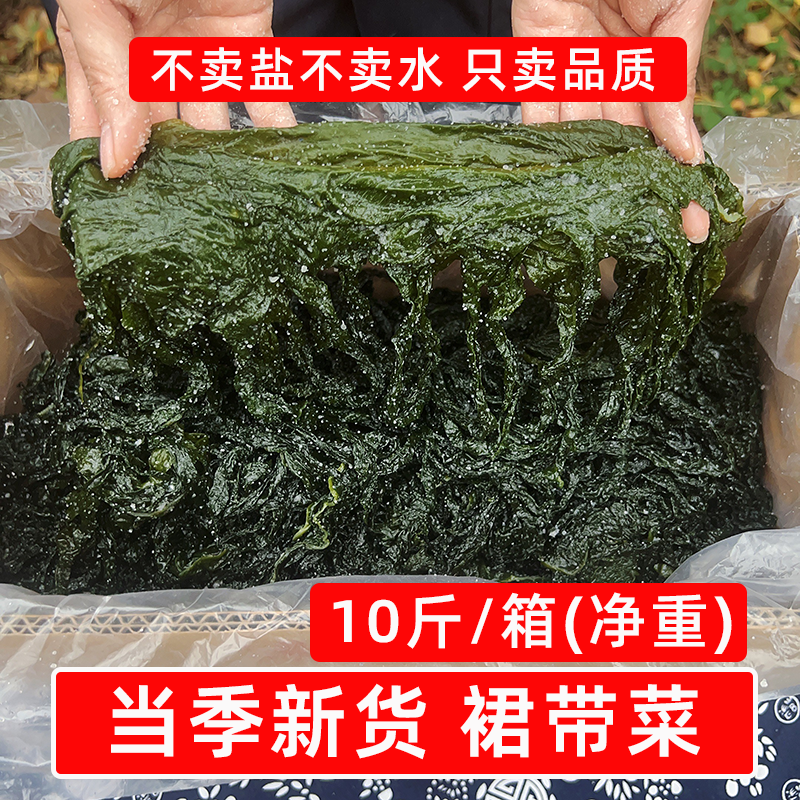 盐渍裙带菜整箱10斤净重半干裙带叶海带嫩芽海藻嫩苗火锅商用食材,水产肉类/新鲜蔬果/熟食,裙带菜,淘宝优惠券,粉丝福利购,淘宝优惠卷