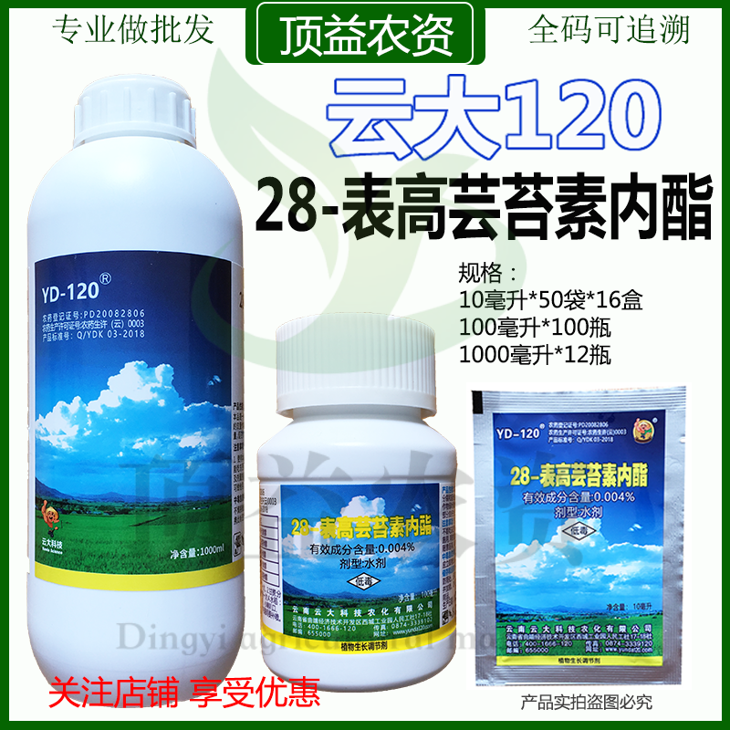 云大12028表高芸苔素内酯生长