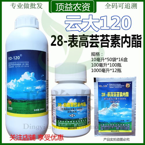 云大12028表高芸苔素内酯生长