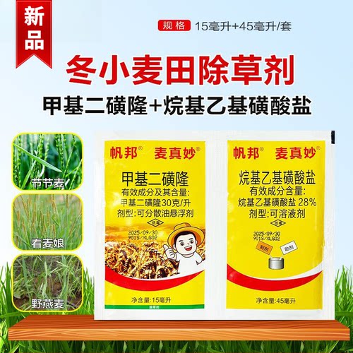 冬小麦苗田苗后禾本科杂草除草剂