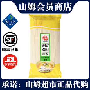 山姆不倒翁韩国进口小麦面条1.5kg营养懒人速食面条手工面龙须面