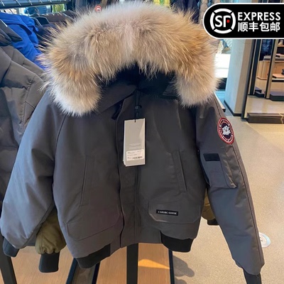 一对一还源！正确版大鹅飞行夹克