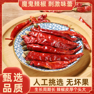 特辣印度魔鬼辣椒干辣椒500g可切段可打粉商用变态魔鬼超辣干红椒