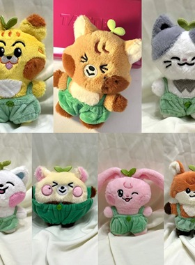 现货NCT DREAM Dreamiez Forest毛绒公仔MARK RENJUN玩偶应援礼物