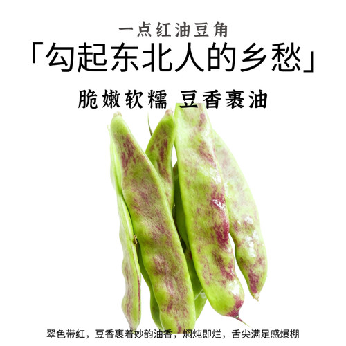 东北红油豆角新鲜蔬菜脆嫩软糯豆香浓郁农家自种红油芸豆角脆甜