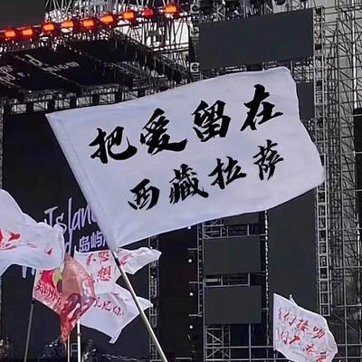 把爱留在旗帜音乐节定制我