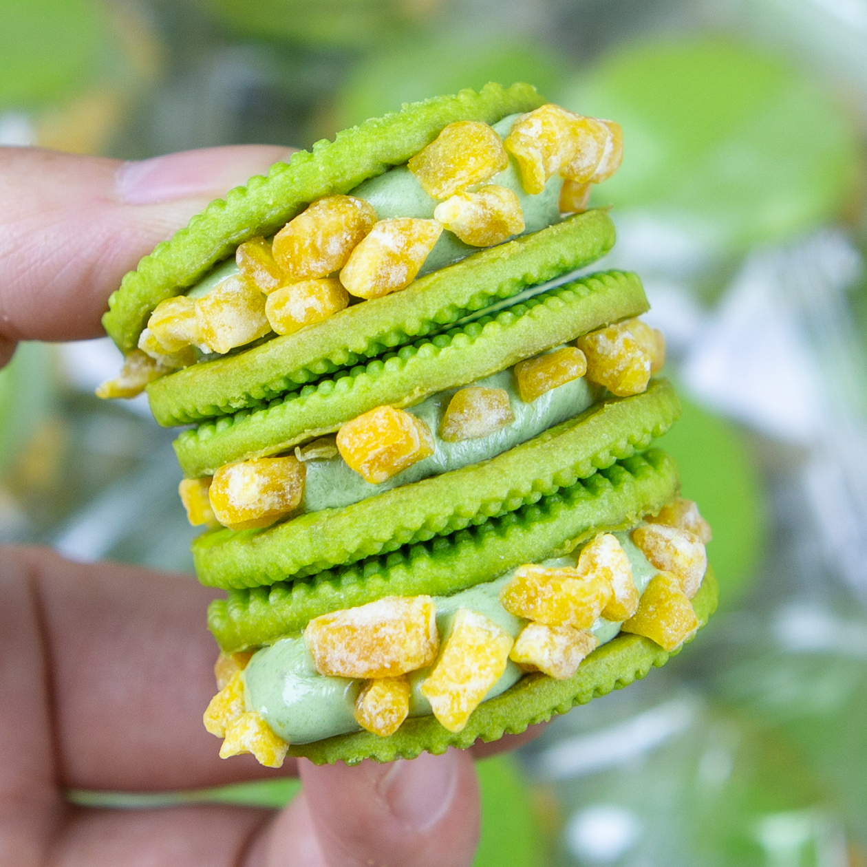 宿舍零食！夹心饼干波波奶酥