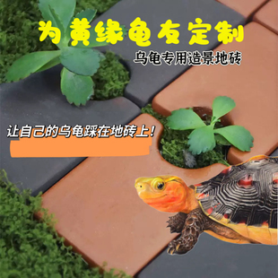 黄缘龟箱龟活体造景砖大号手工红泥烧制陶砖半水龟乌龟造景砖块