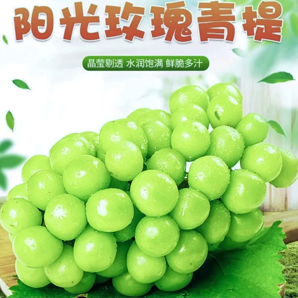 阳光玫瑰特级晴王香印大果新鲜青提子玫瑰水晶葡萄当季孕妇甜水果