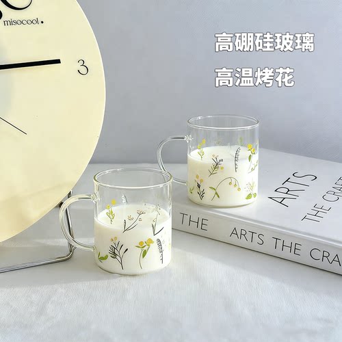 ins风可爱玻璃杯带把水杯