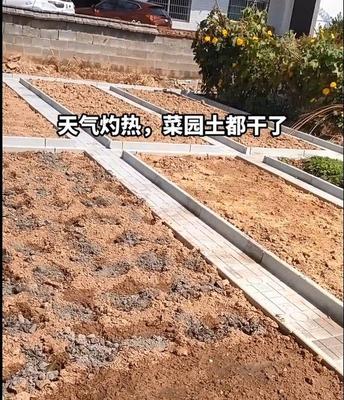 菜地围边石庭院花园围边石花坛挡土石菜园地面菜地沟板模具围栏。